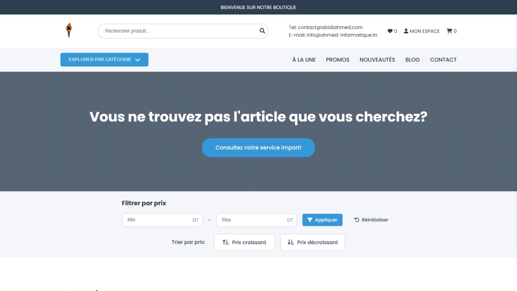 E-Commerce Template - Online Store by Ahmed Abidi (Abidi Ahmed) - Web Developer